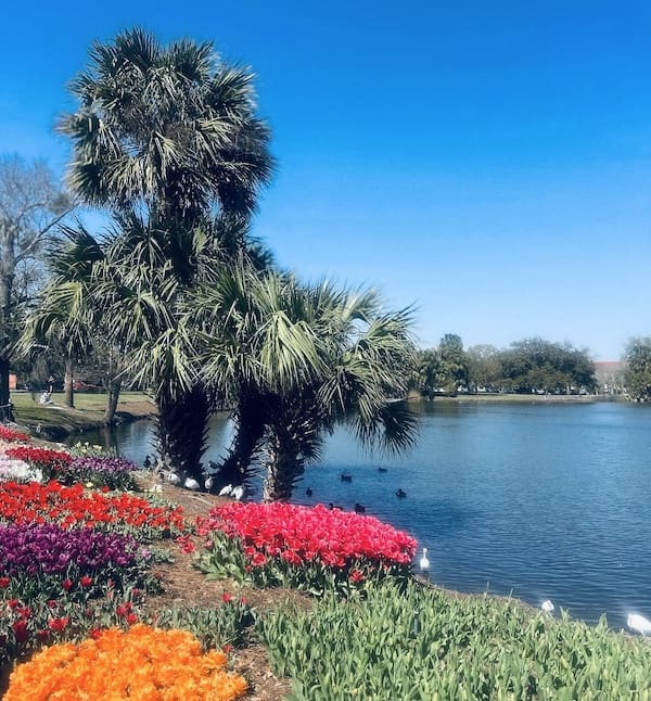Parque da cidade de Nova Orleães