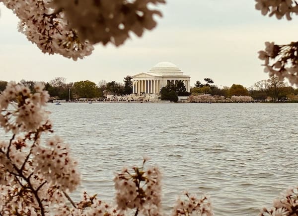 Bacia das marés Washington DC