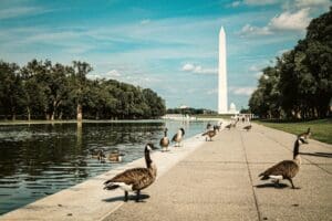 hotéis em Washington